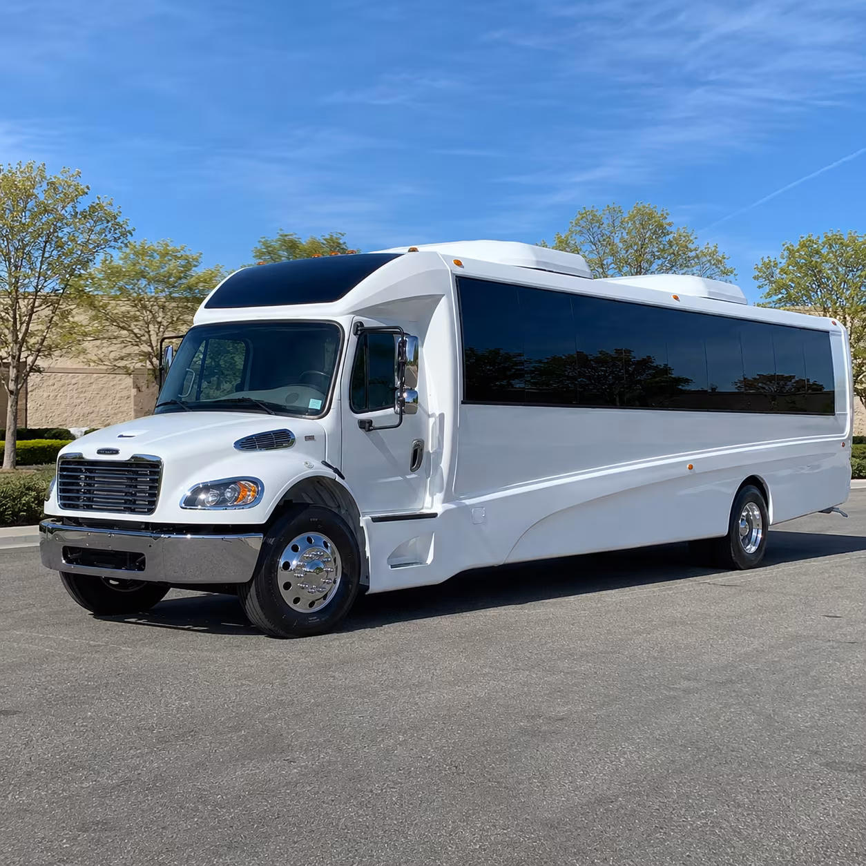 new orleans 15 passenger minibus