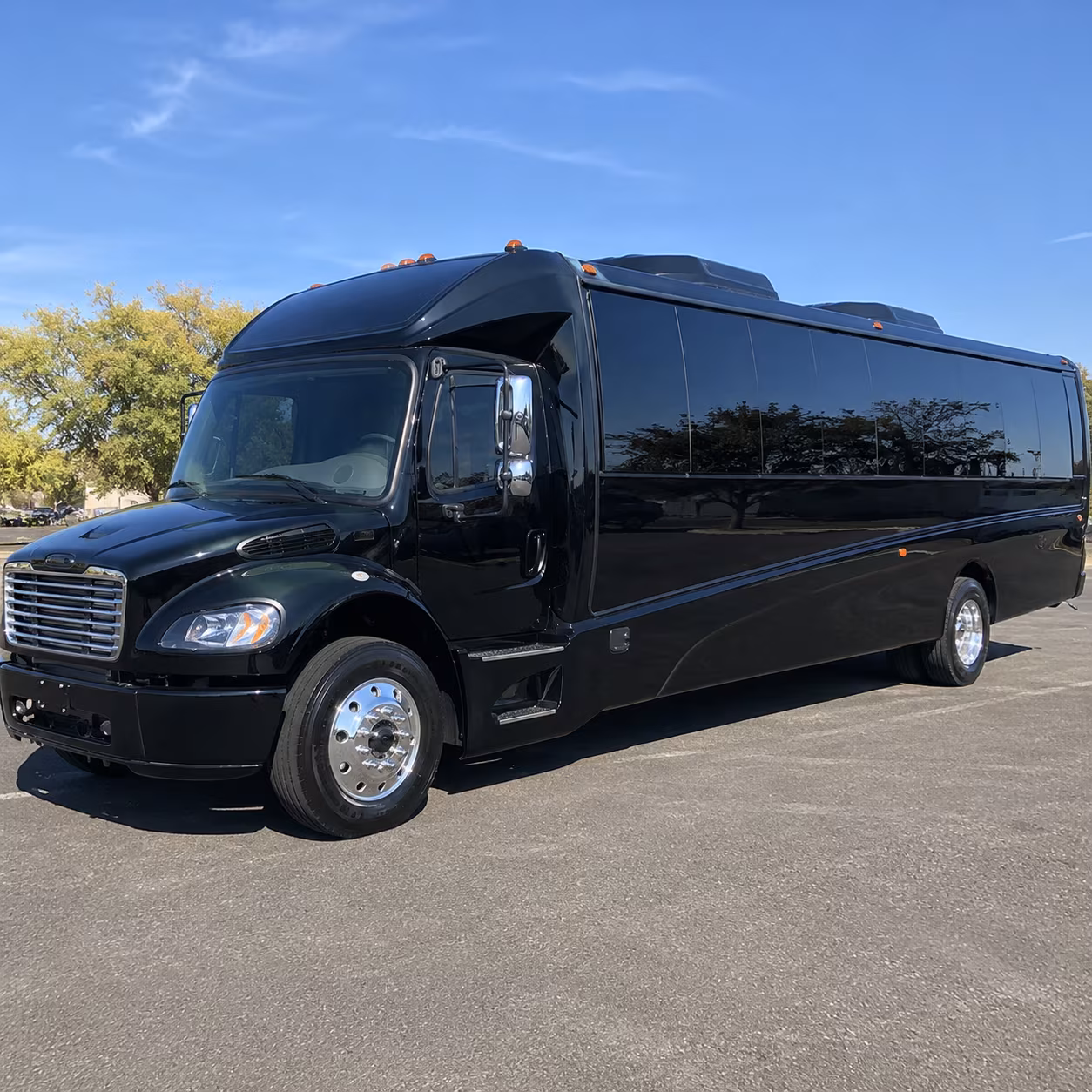 new orleans 18 passenger minibus